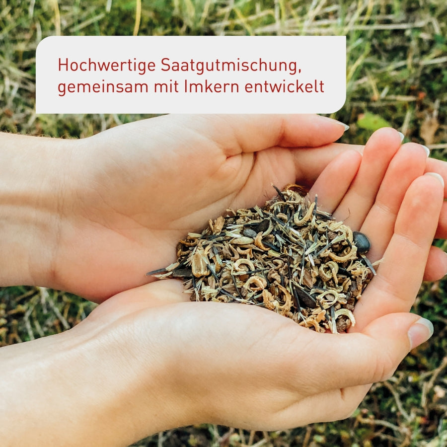 Schnellkeimendes Saatgut für Bienenweide