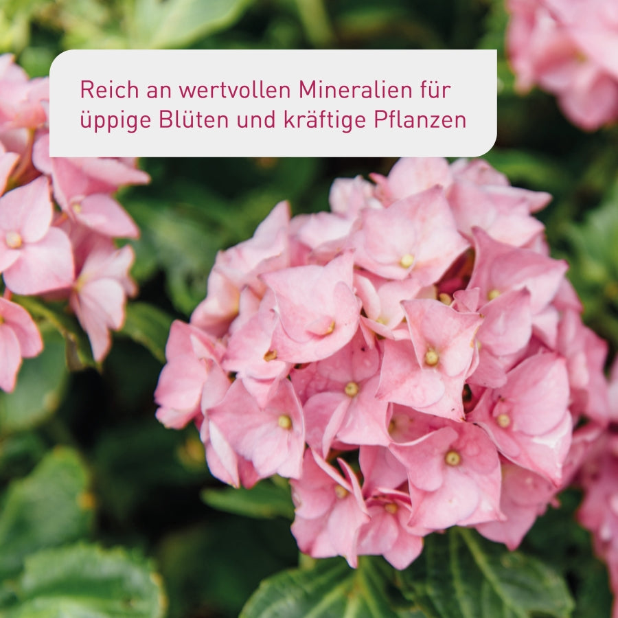Plantura Bio-Saure Erde für üppige Blüten und gesunde Pflanzen