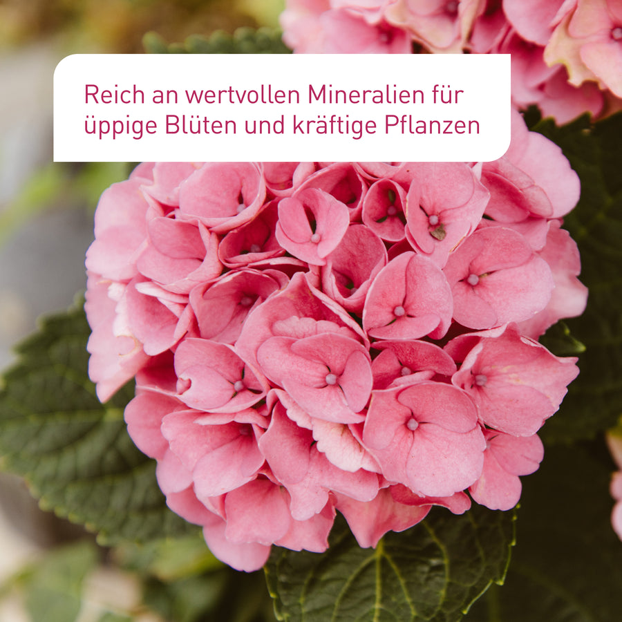 Plantura Bio-Saure Erde für üppige Blüten und gesunde Pflanzen