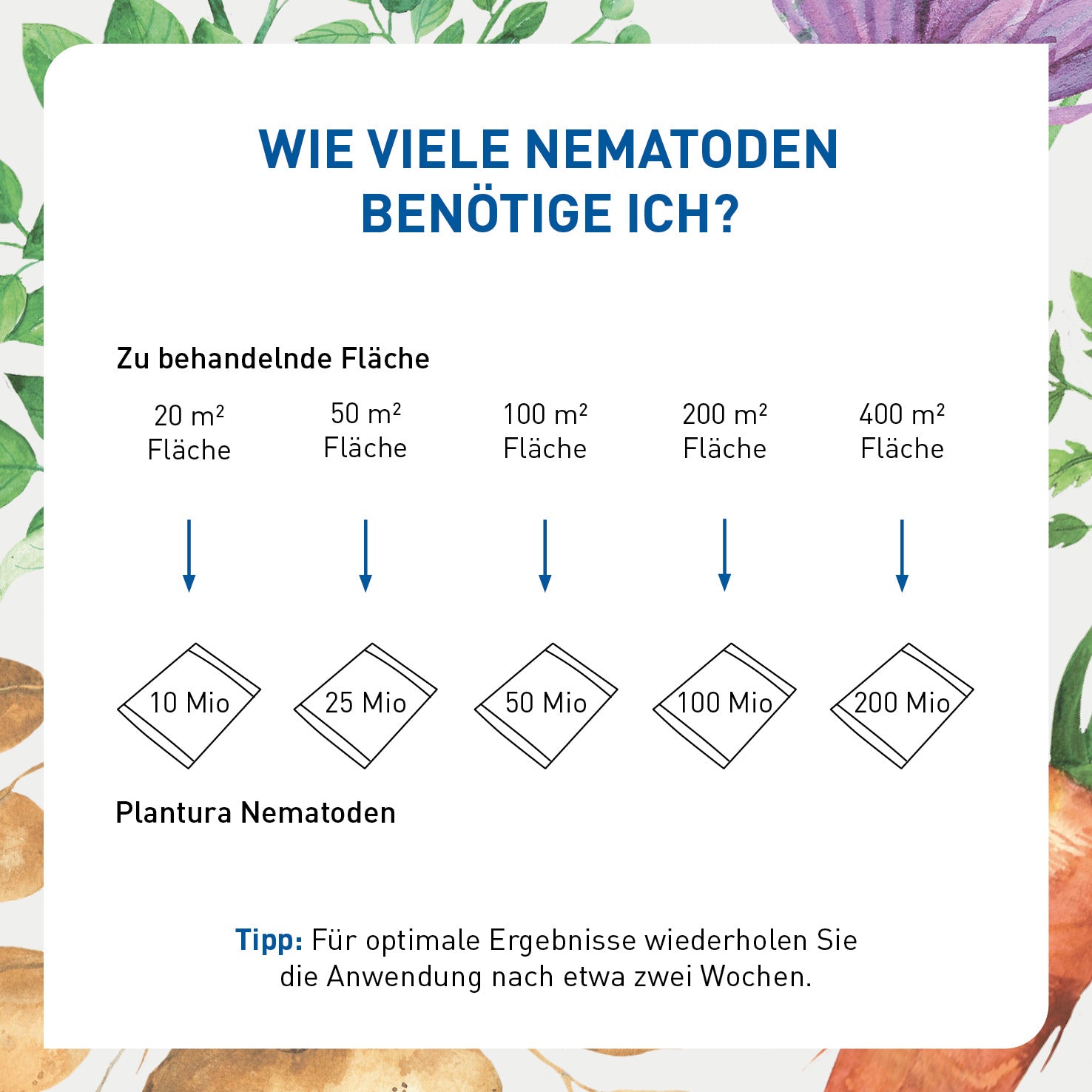 Menge SC-Nematoden pro Quadratmeter