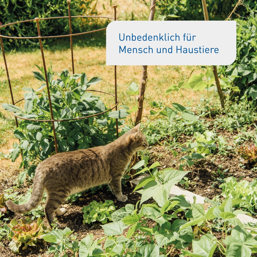 SC-Nematoden unbedenklich für Haustiere