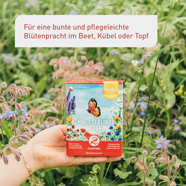 Schmetterlingsweide von Plantura