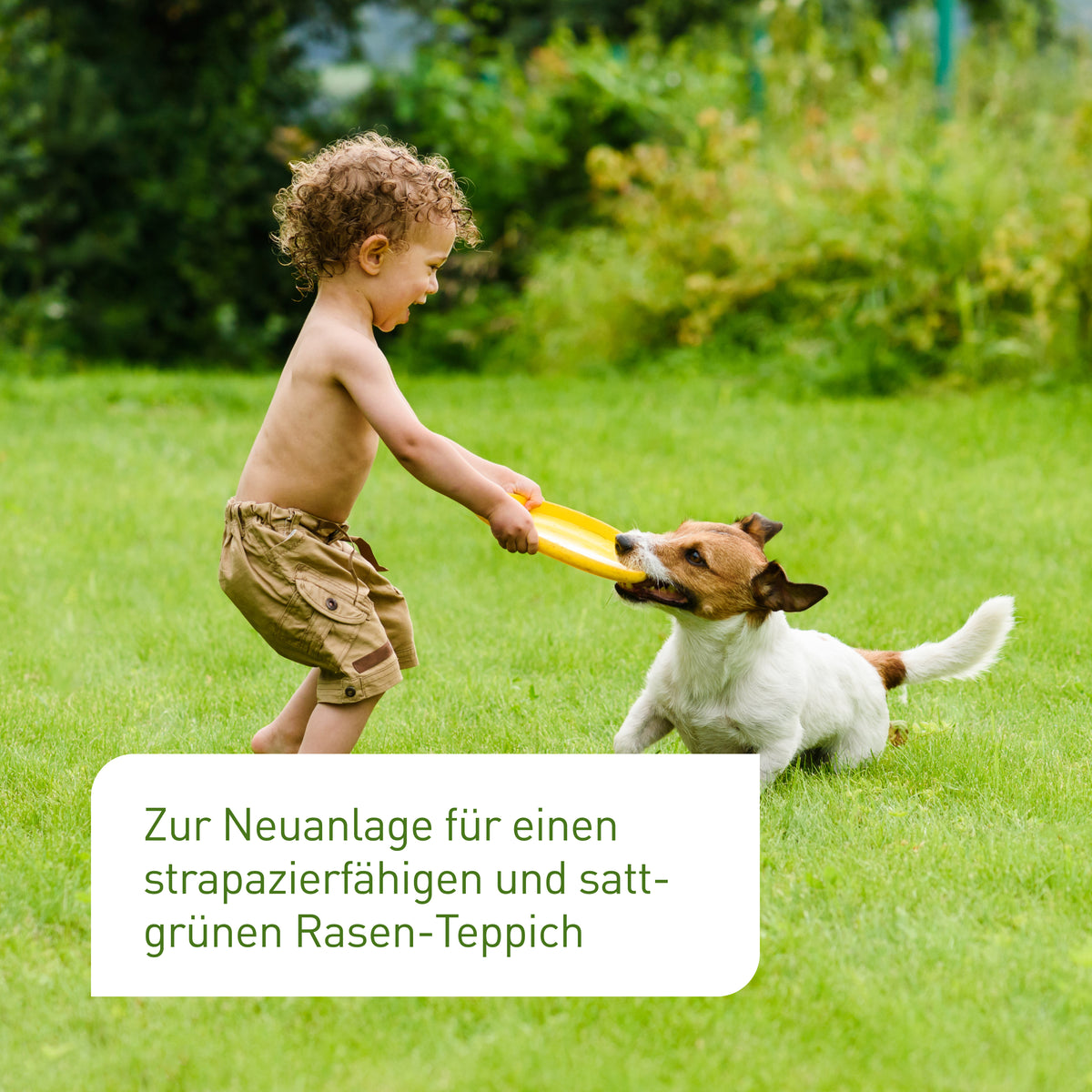 Strapazierfähiger Rasen von Plantura