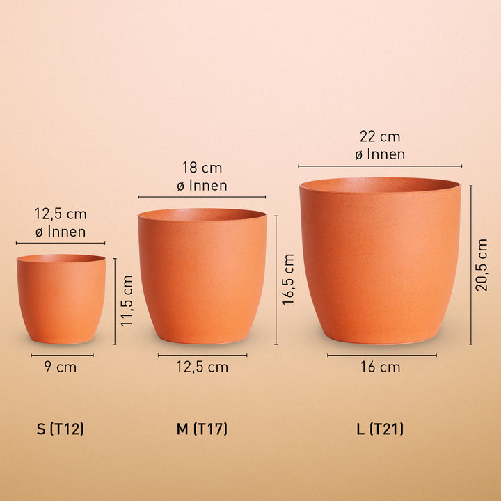 Größe der Terracotta-Übertöpfe für Zimmerpflanzen
