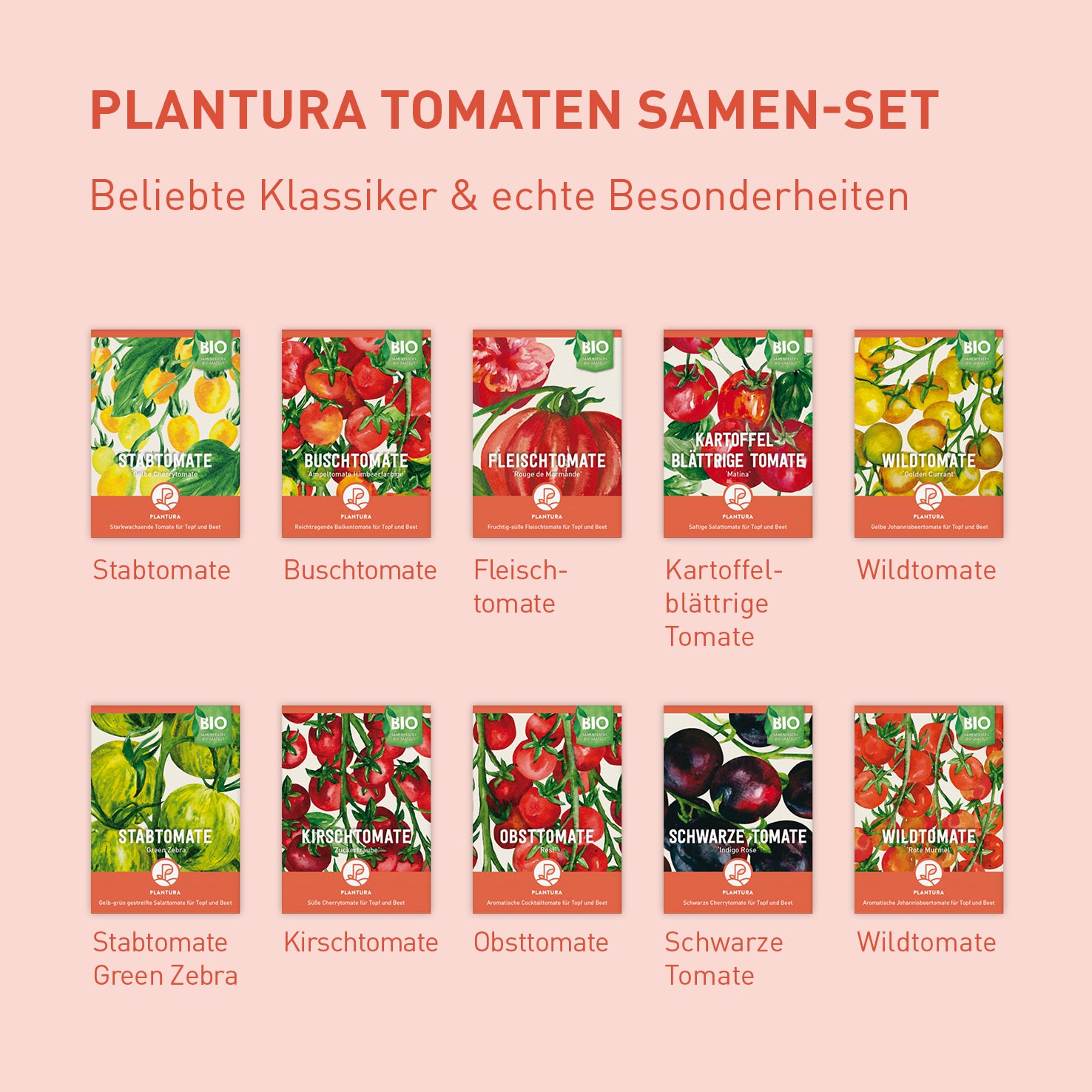 Bio-Tomaten Samen-Set kaufen