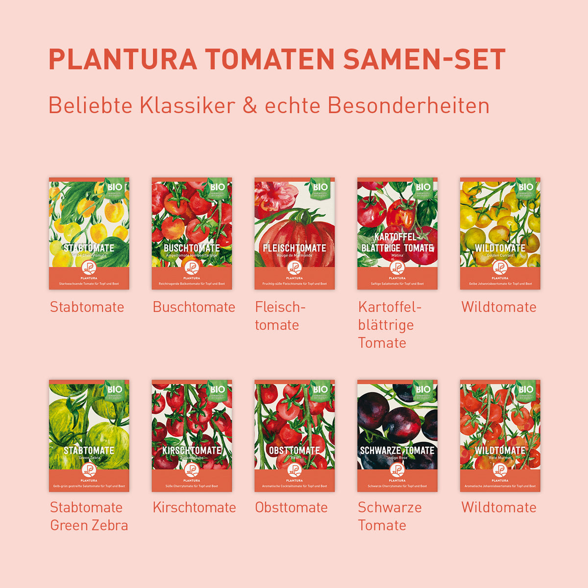 Tomaten Samen-Set mit Bio-Sorten