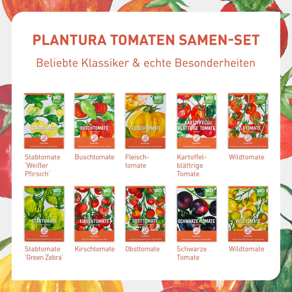 Tomaten Samen-Set mit Bio-Sorten