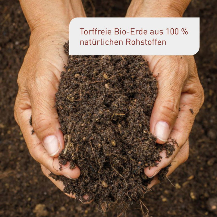 Biologische Hochbeeterde mit pflanzlichen Inhaltsstoffen