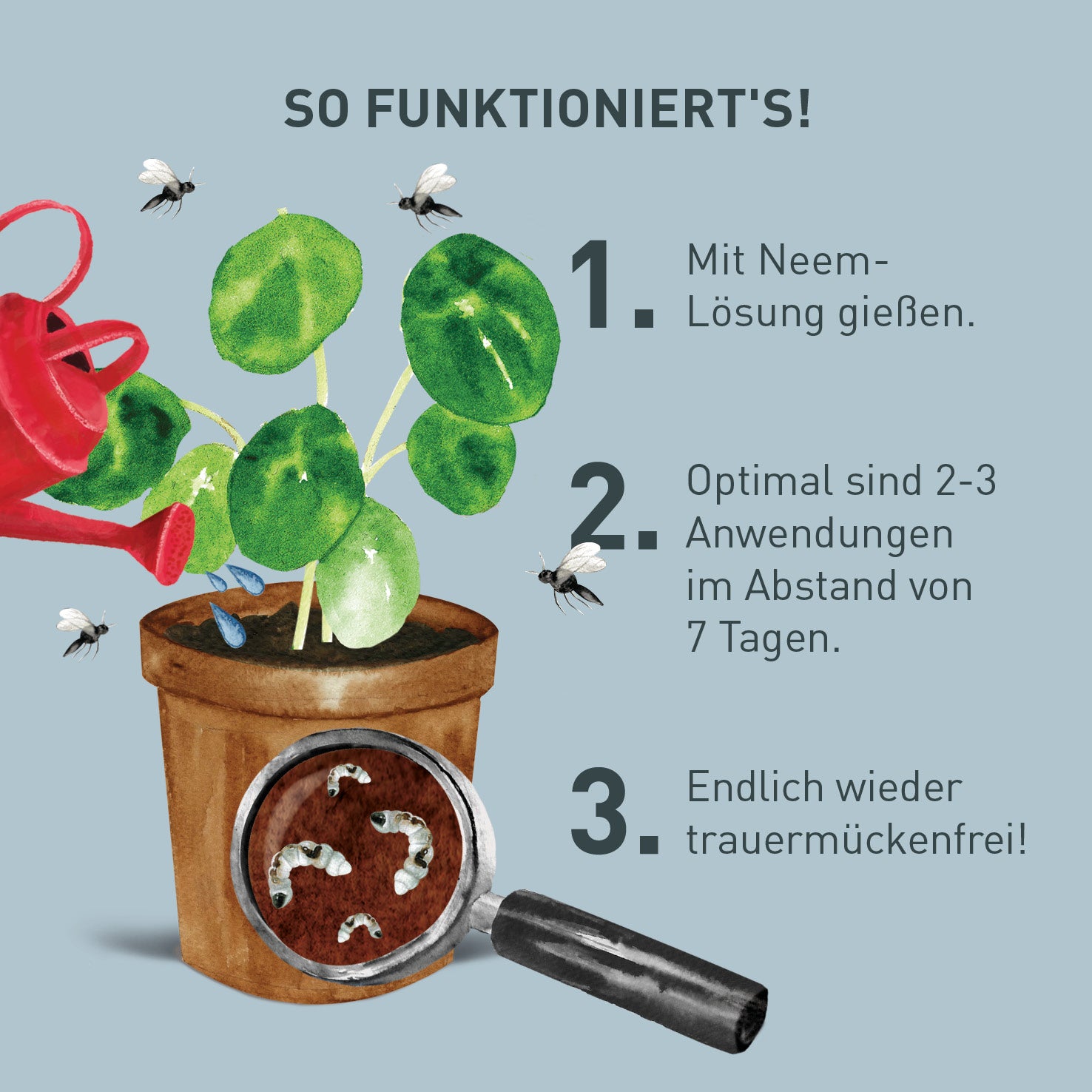 Trauermückenlarven mit Neem bekämpfen
