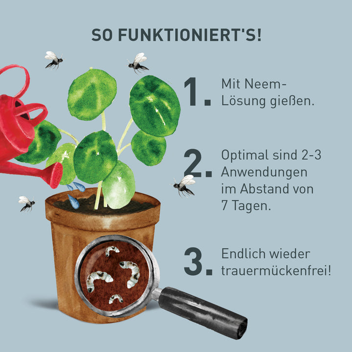 Trauermückenlarven mit Neem bekämpfen