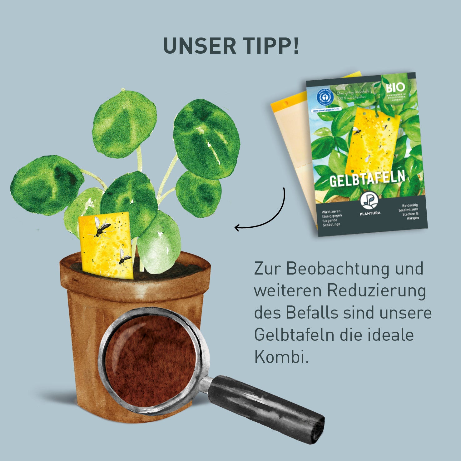 Plantura Trauermückenfrei Neem und Gelbtafeln