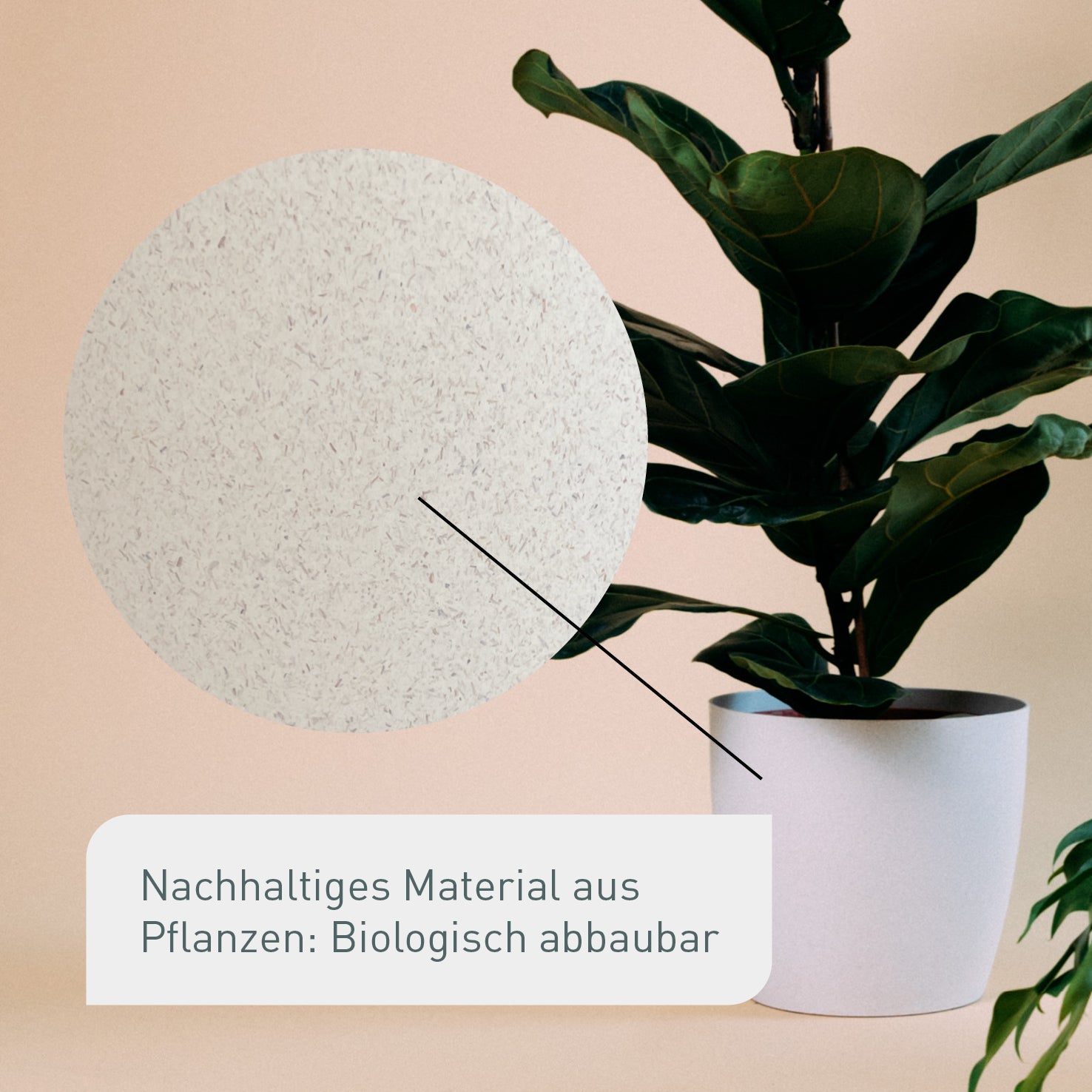 Natur Übertopf aus nachhaltigem Material