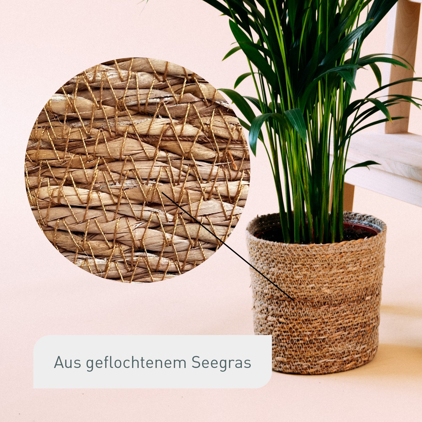 Seegras Übertopf aus nachhaltigem Material