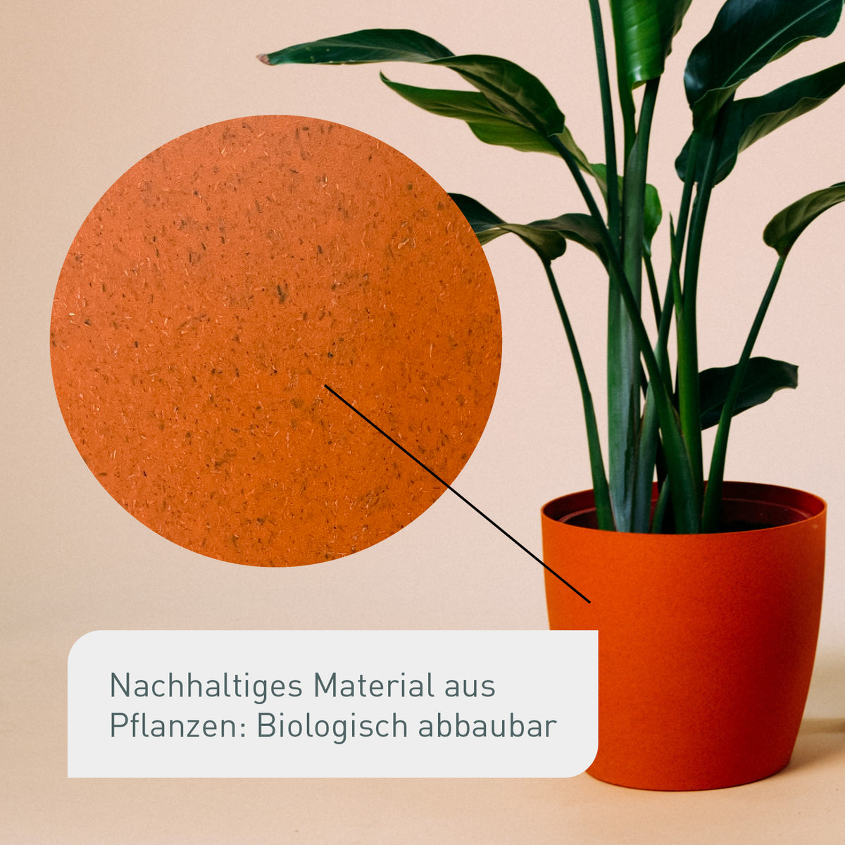 Terracotta Übertopf aus nachhaltigem Material