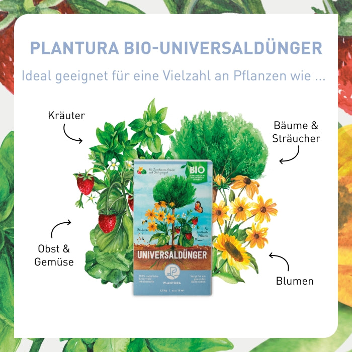 Bio-Universaldünger kaufen