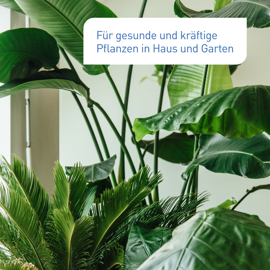Universalerde für gesunde Pflanzen