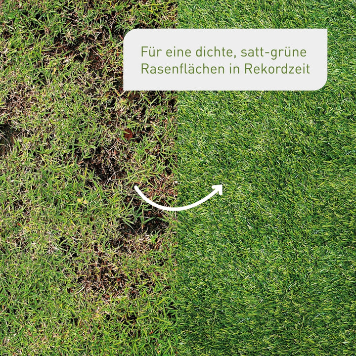 Rasen-Nachsaat 1 kg