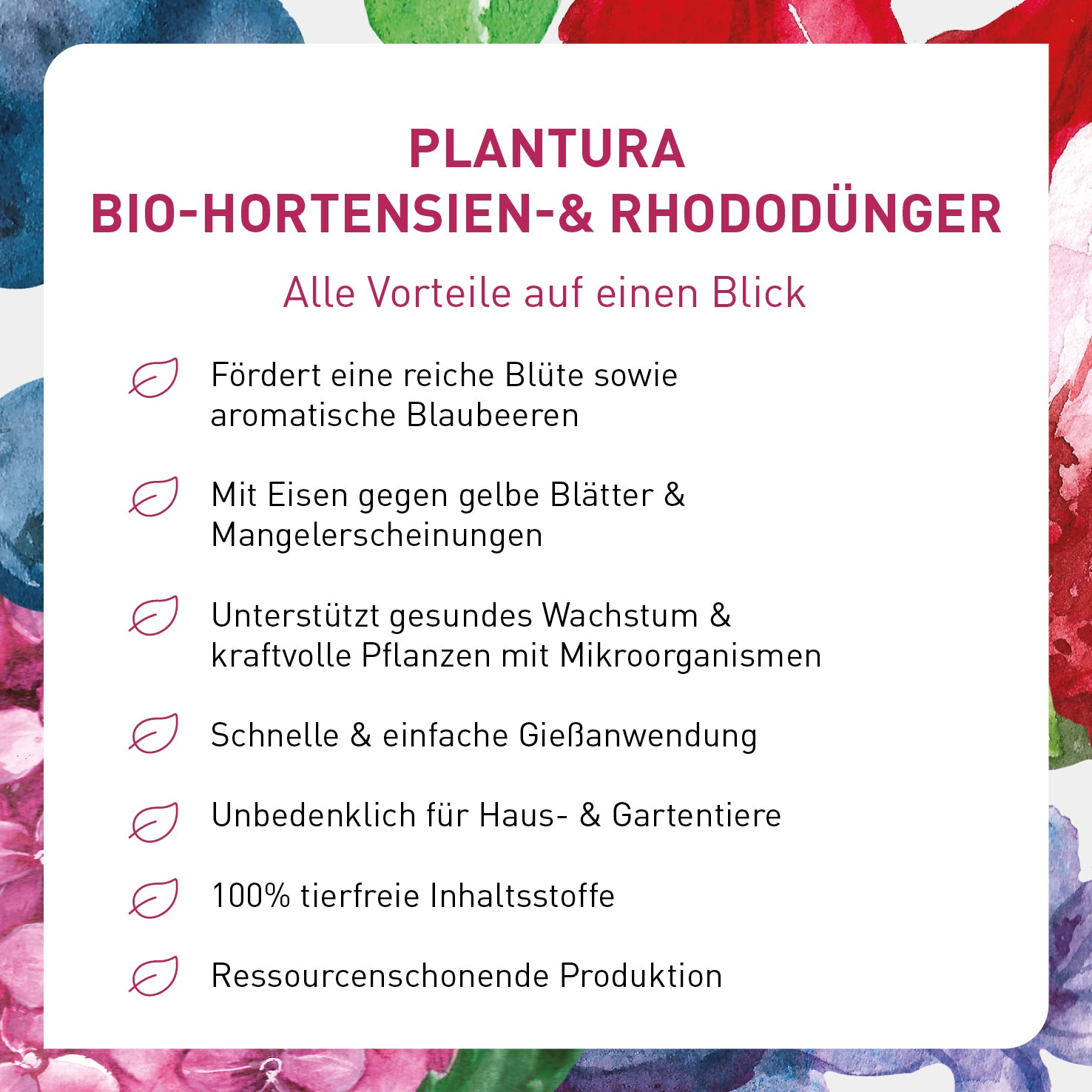 Vorteile des Bio-Rhododendrondüngers von Plantura