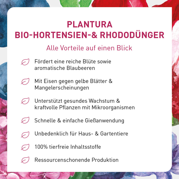 Vorteile des Bio-Rhododendrondüngers von Plantura