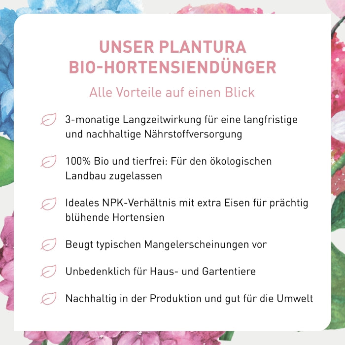 jap ahorn düngen Japanischer Ahorn Dünger von Flora Boost für gesunde Fächerahorn-Pflanzen main image 0