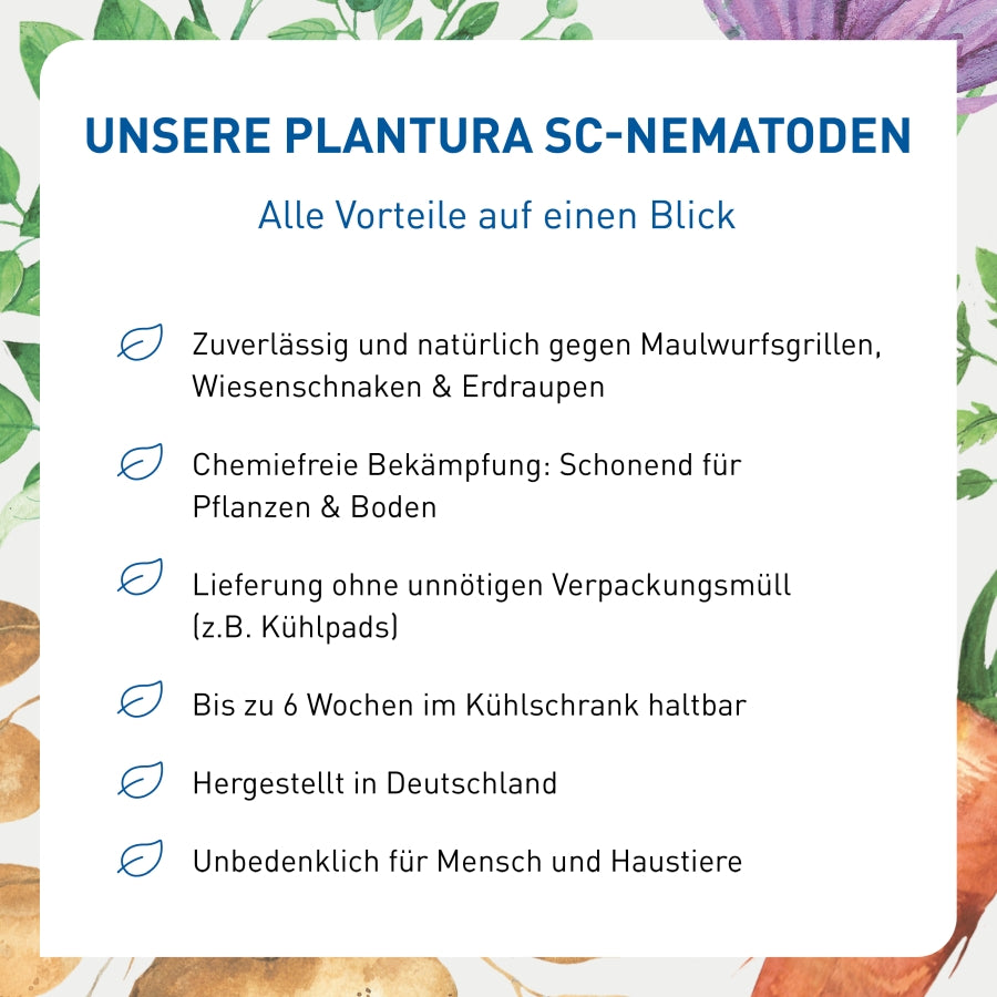 Vorteile von SC-Nematoden gegen Wiesenschnaken