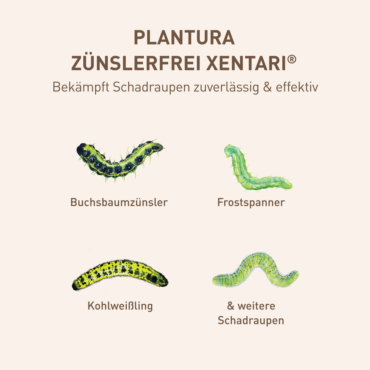 Xentari® gegen verschiedene Schädlinge