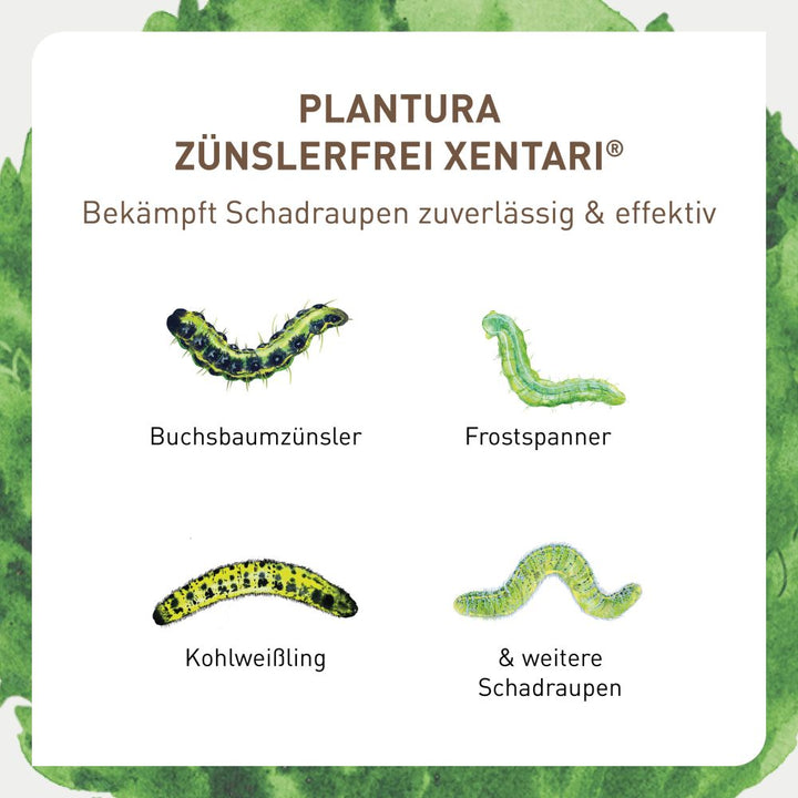Xentari® gegen verschiedene Schädlinge