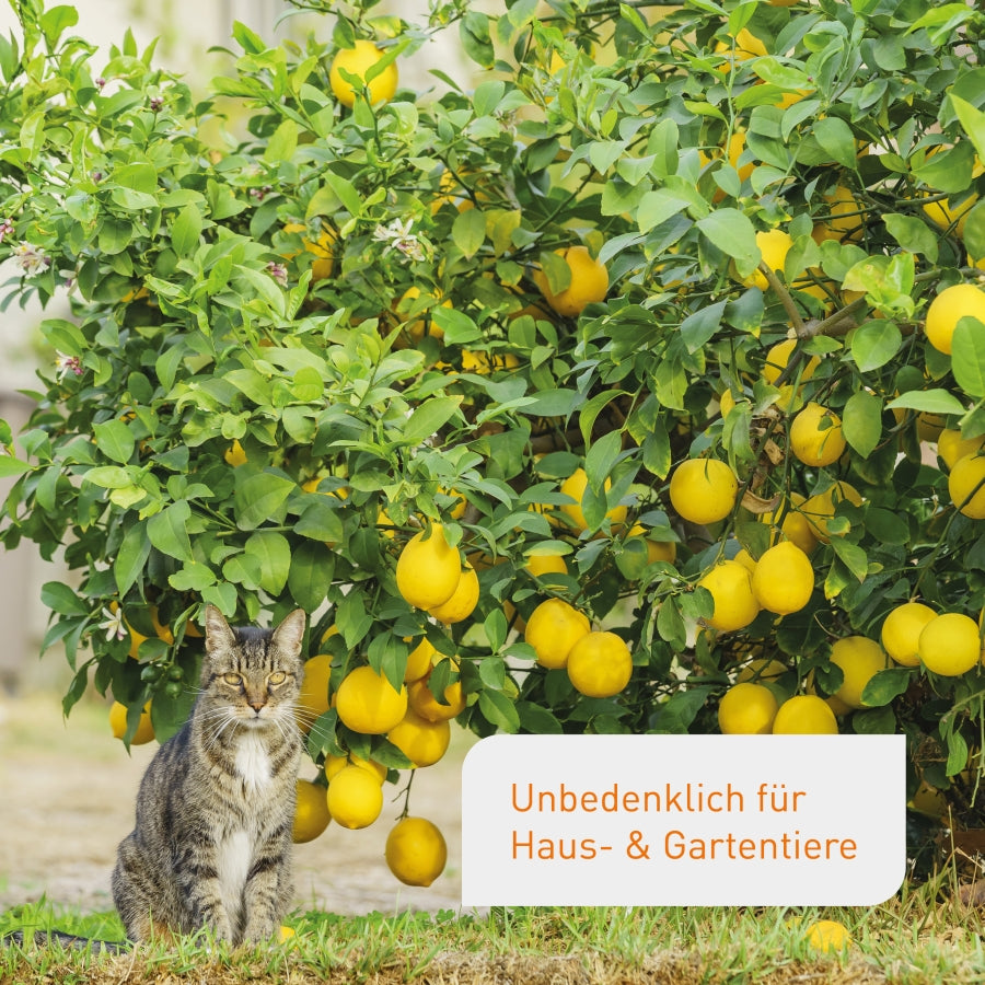Plantura Bio-Zitrusdünger unbedenklich für Tiere